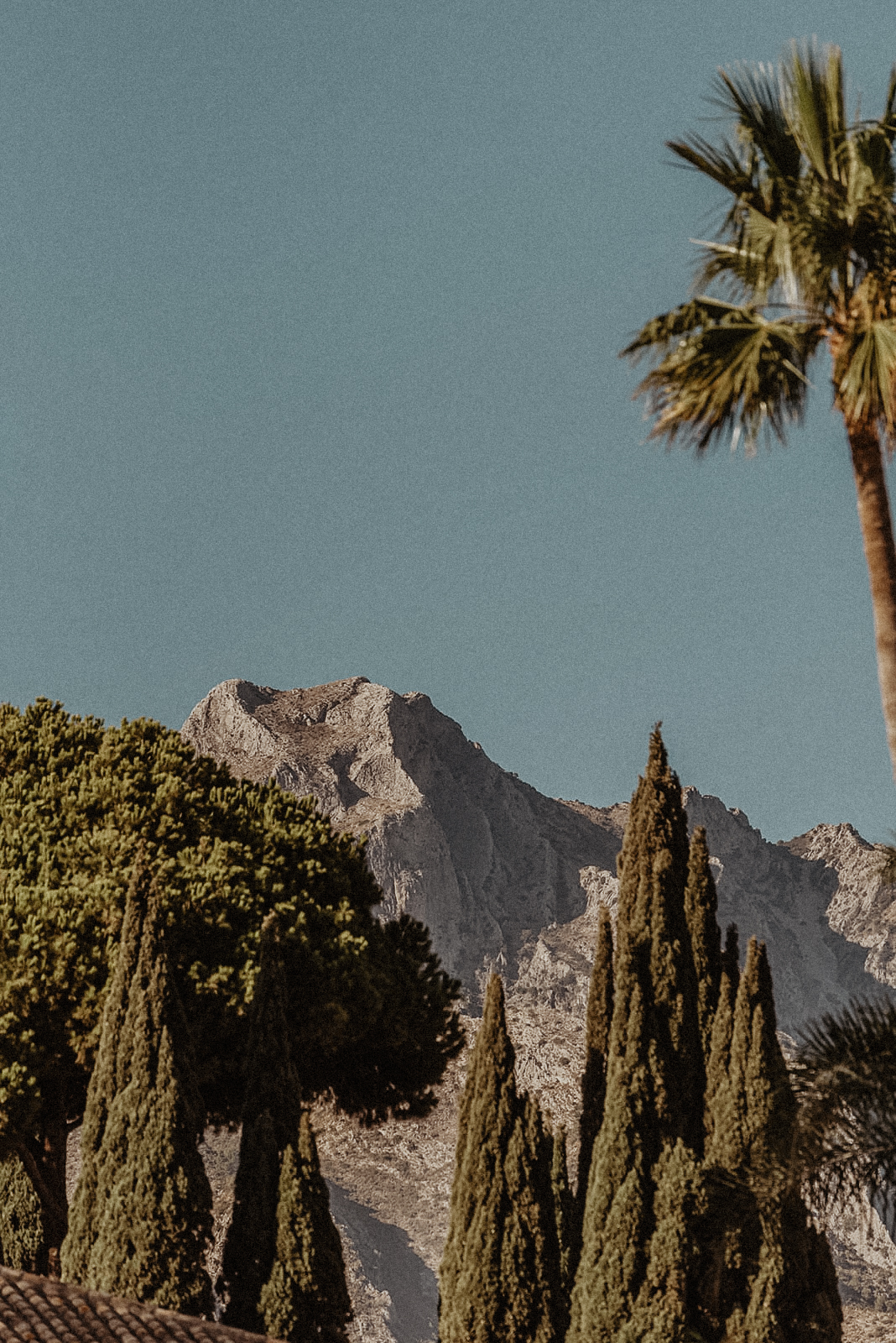 Wedding Photographer in Marbella, Wedding Filmaker in Málaga, Sunny September